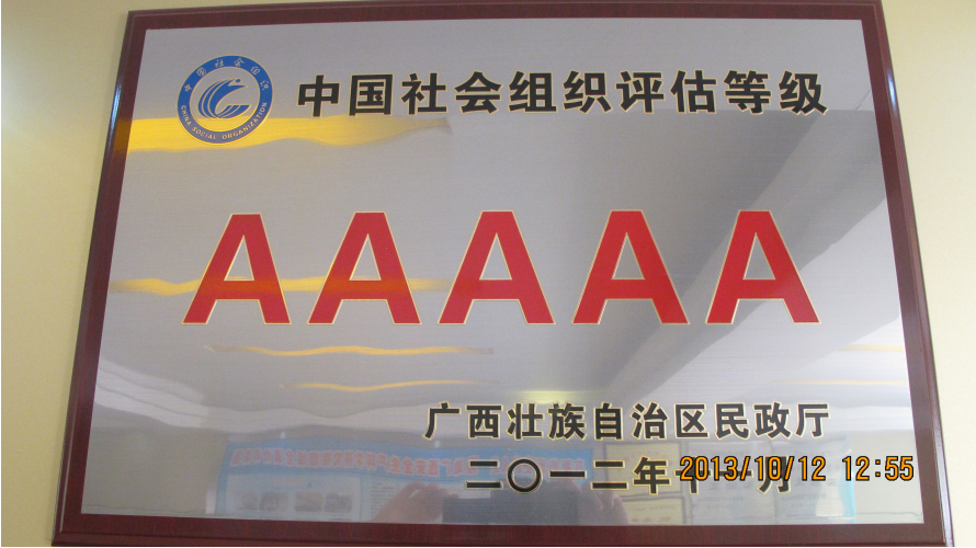 中国社会组织评估（5A）
