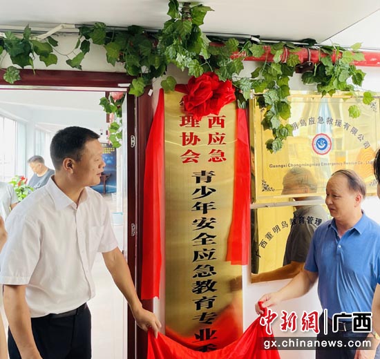 广西应协青安委揭牌成立。主办方 供图 广西应协青安委揭牌成立。主办方 供图